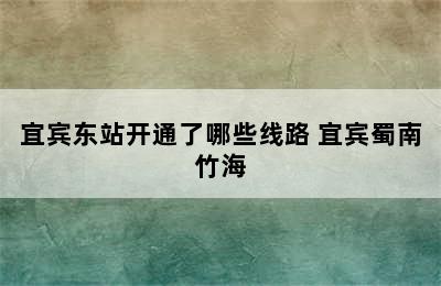 宜宾东站开通了哪些线路 宜宾蜀南竹海